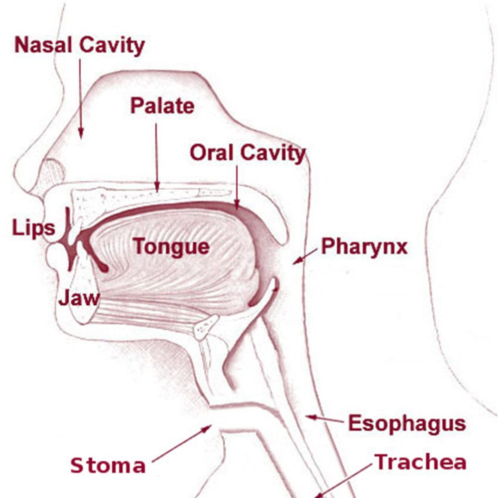Pediatric Tracheotomy Surgery MPENTA Pediatric ENT Michigan